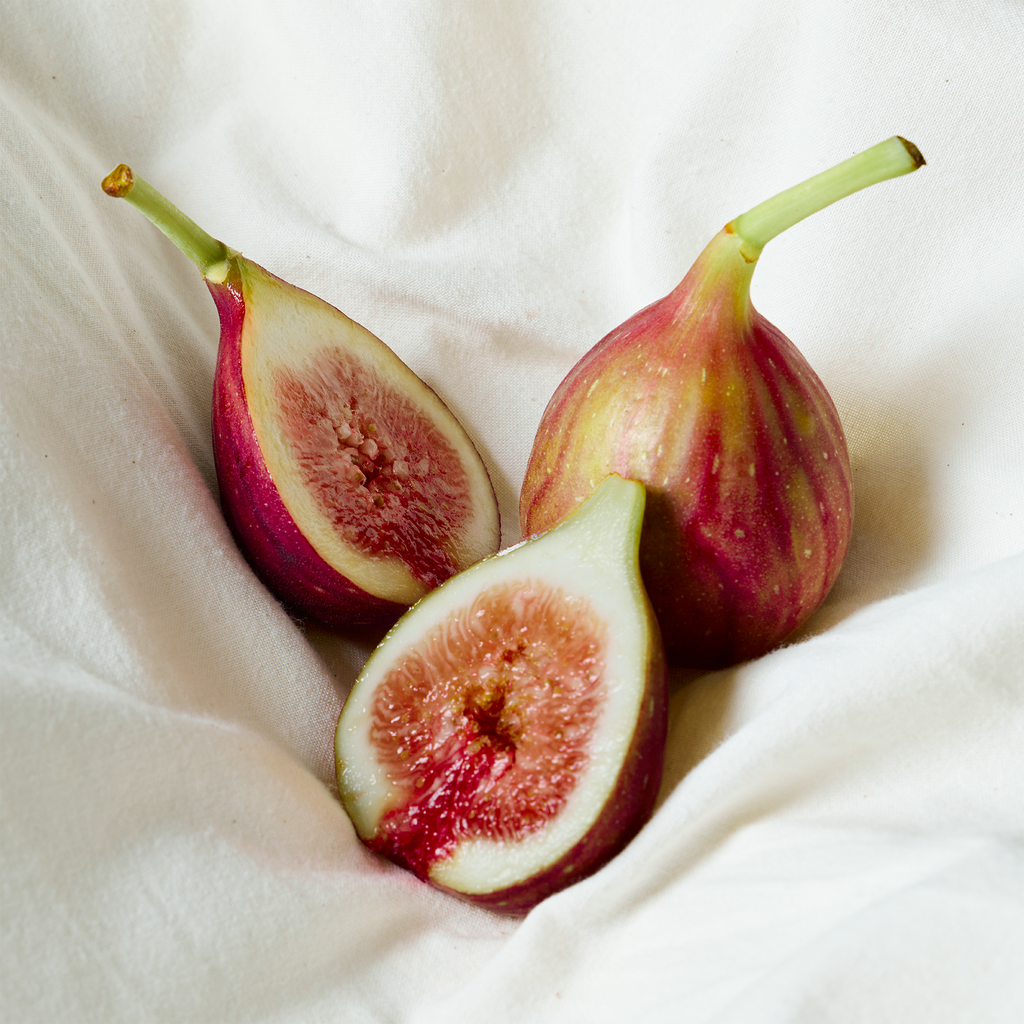 Fig & Bliss 30ml