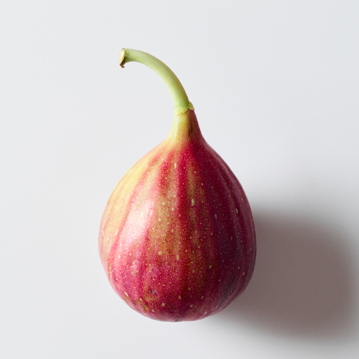 Fig & Bliss 30ml