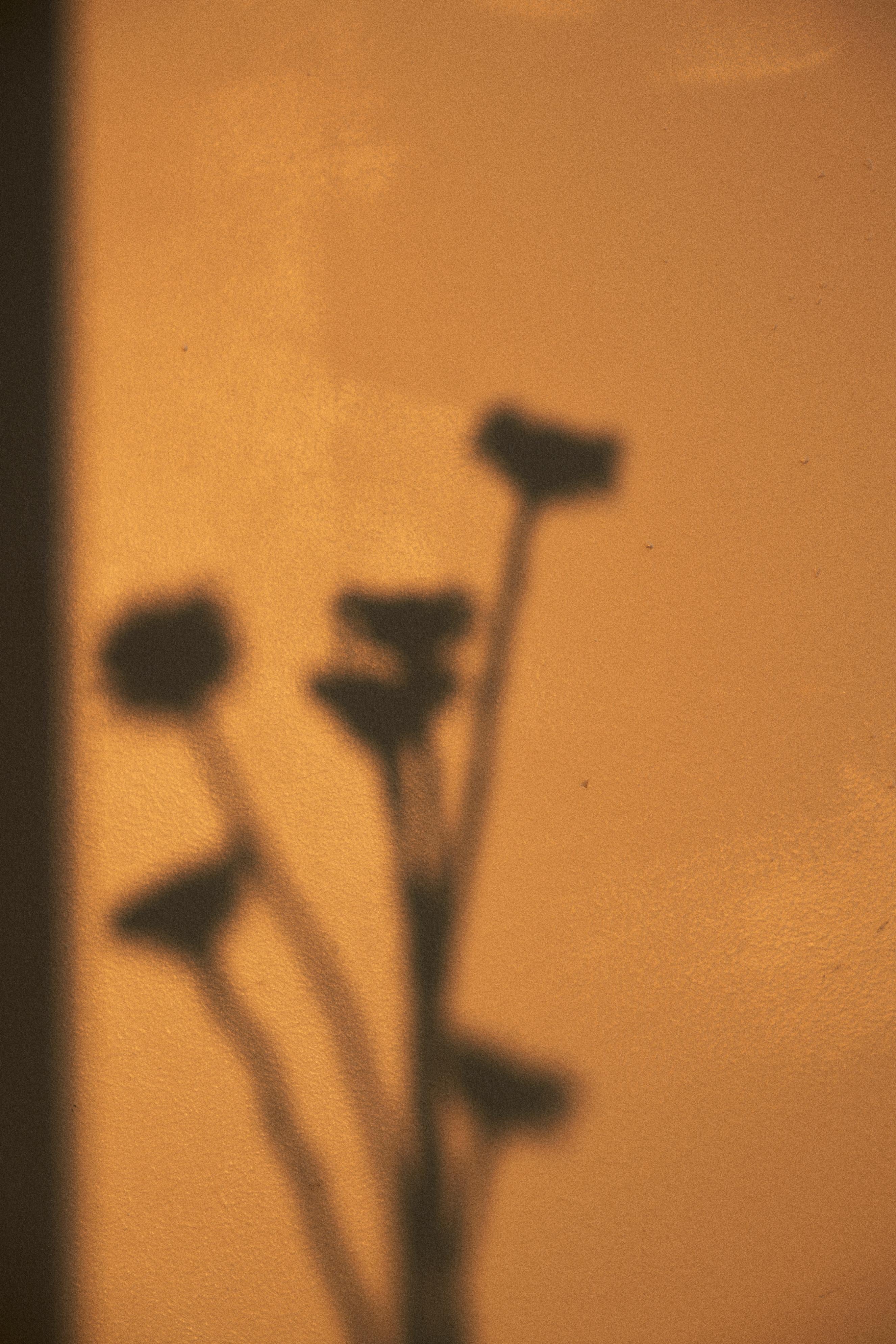 Analog 30ml